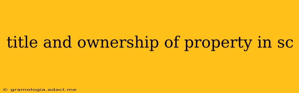 title and ownership of property in sc