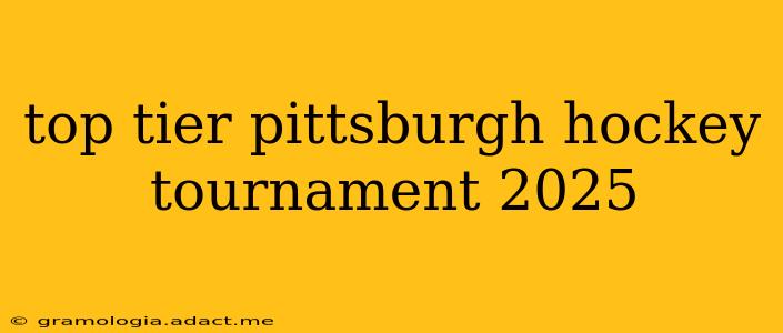 top tier pittsburgh hockey tournament 2025