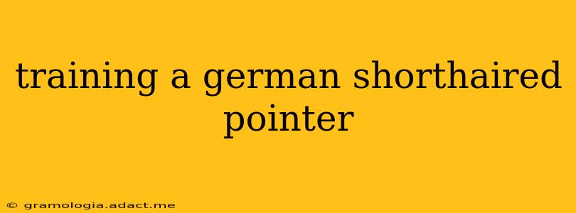 training a german shorthaired pointer