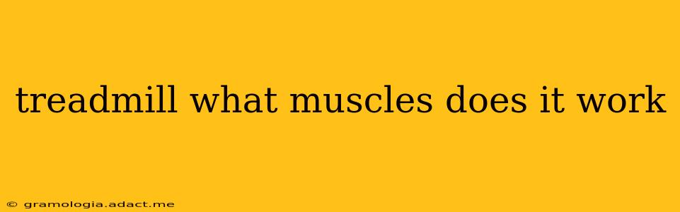 treadmill what muscles does it work