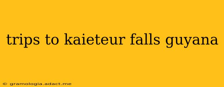 trips to kaieteur falls guyana