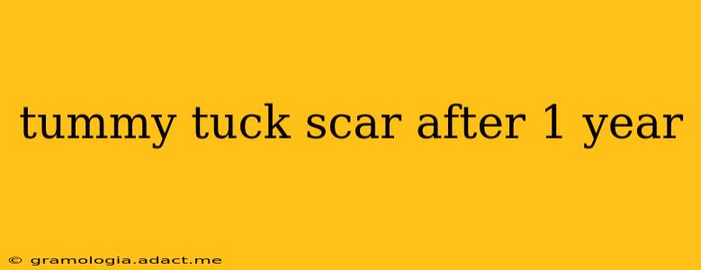 tummy tuck scar after 1 year