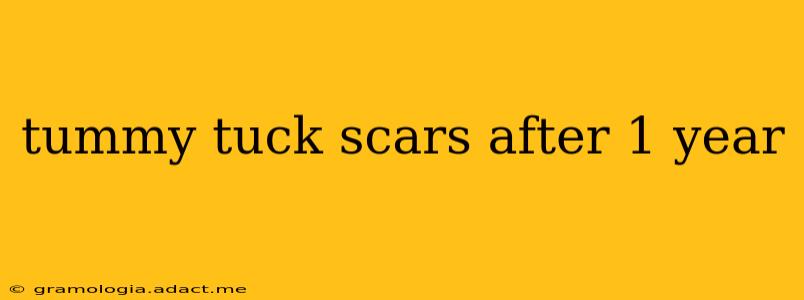 tummy tuck scars after 1 year