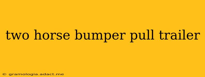 two horse bumper pull trailer