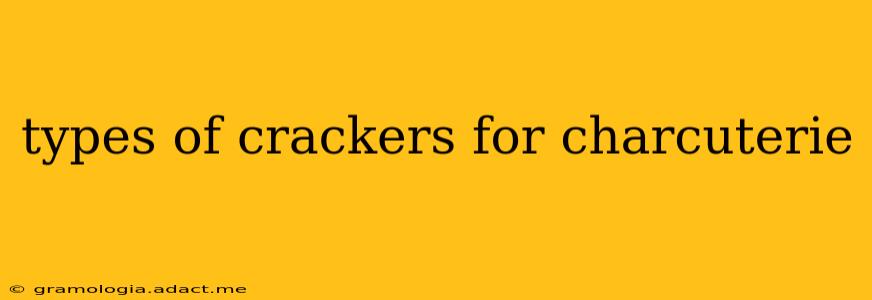 types of crackers for charcuterie