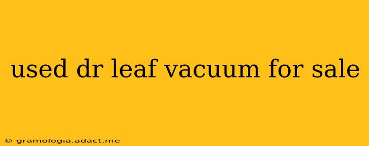 used dr leaf vacuum for sale