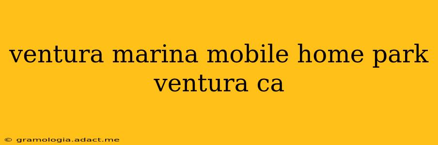 ventura marina mobile home park ventura ca