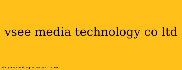vsee media technology co ltd