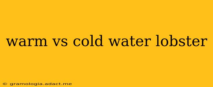 warm vs cold water lobster