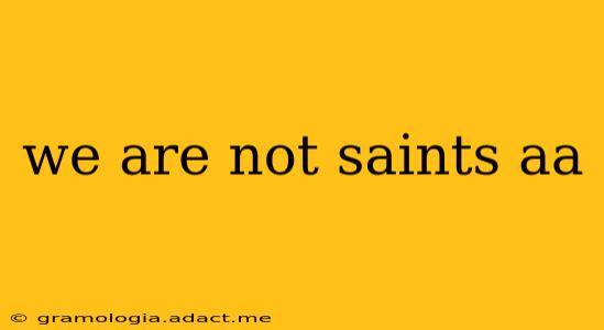 we are not saints aa