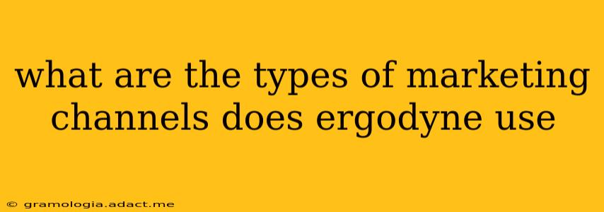 what are the types of marketing channels does ergodyne use