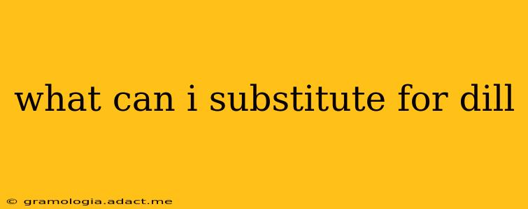 what can i substitute for dill