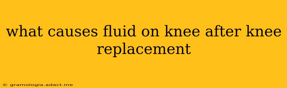 what causes fluid on knee after knee replacement