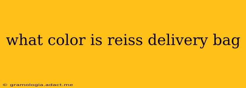what color is reiss delivery bag
