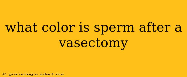 what color is sperm after a vasectomy
