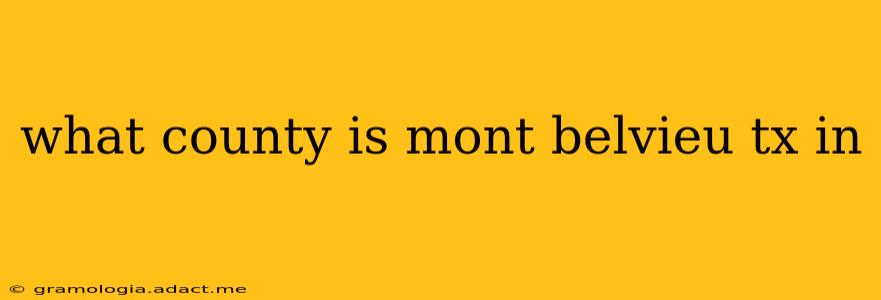 what county is mont belvieu tx in