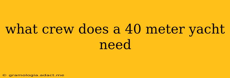 what crew does a 40 meter yacht need