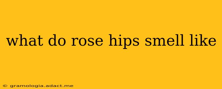 what do rose hips smell like