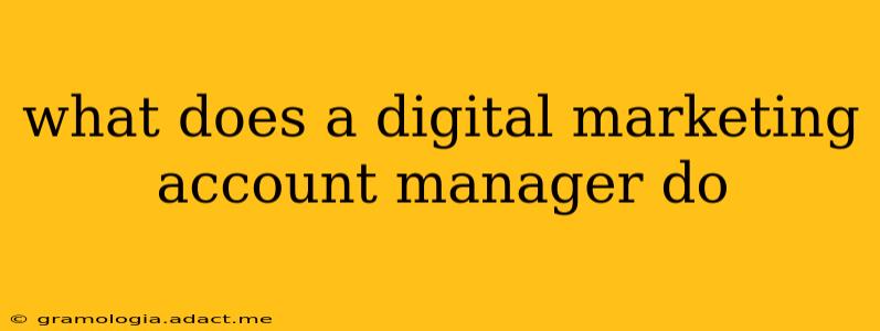 what does a digital marketing account manager do