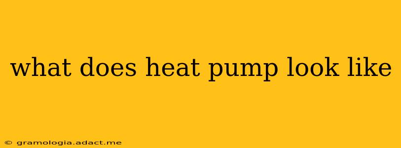 what does heat pump look like