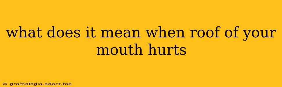 what does it mean when roof of your mouth hurts