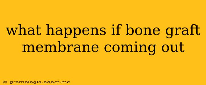 what happens if bone graft membrane coming out