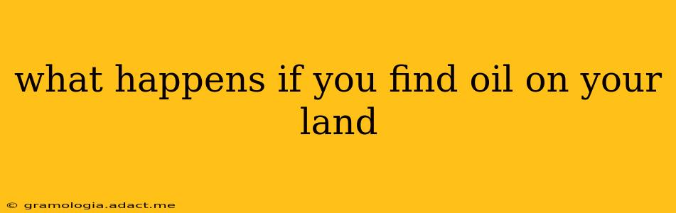 what happens if you find oil on your land