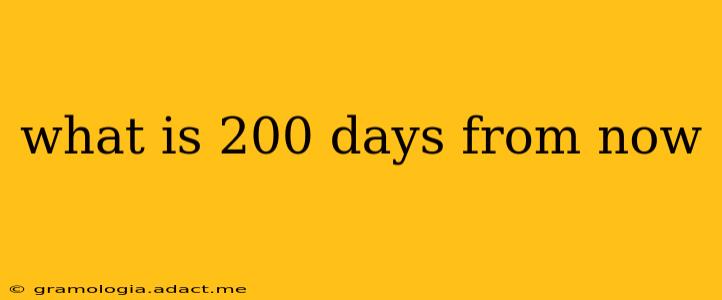 what is 200 days from now