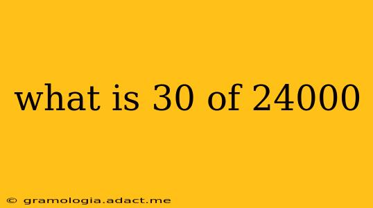 what is 30 of 24000