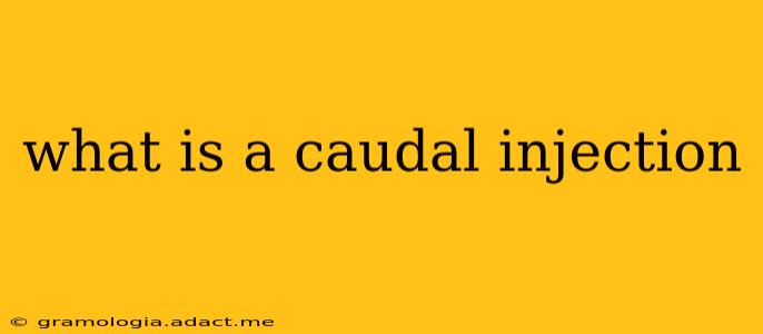 what is a caudal injection