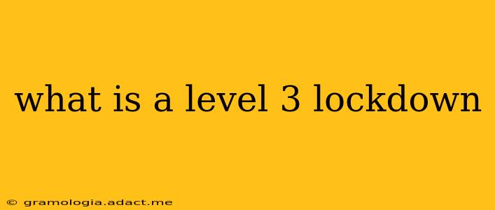 what is a level 3 lockdown