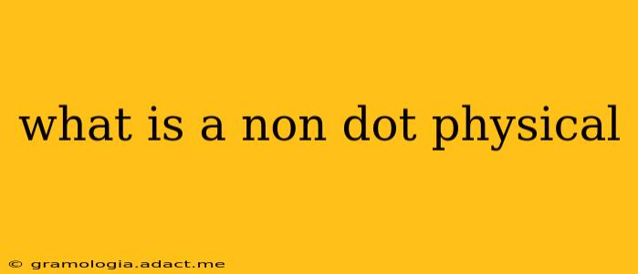 what is a non dot physical