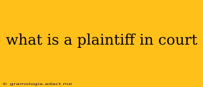 what is a plaintiff in court