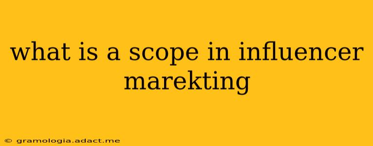 what is a scope in influencer marekting