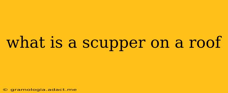 what is a scupper on a roof