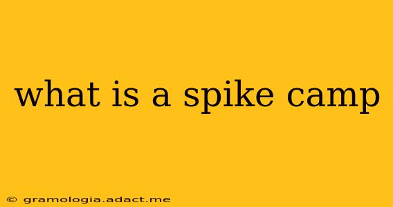 what is a spike camp