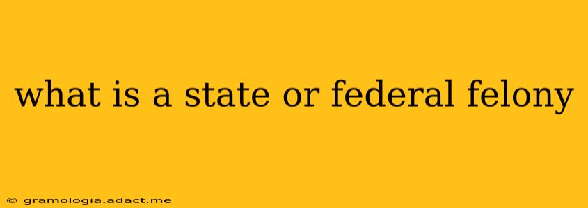 what is a state or federal felony