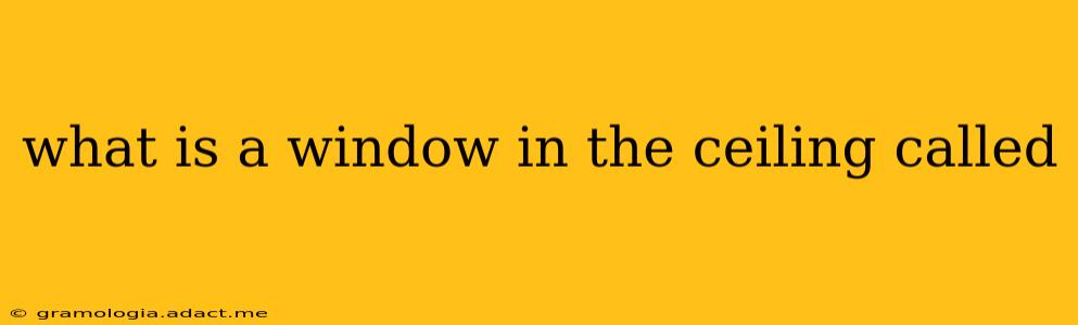 what is a window in the ceiling called