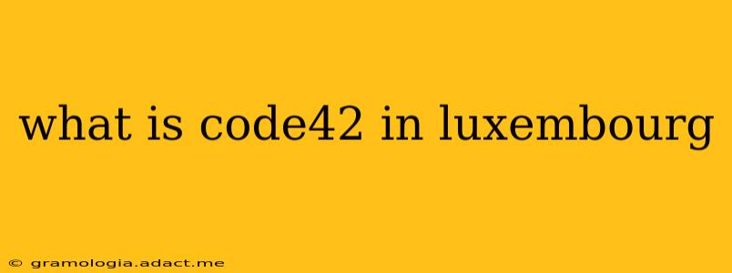 what is code42 in luxembourg