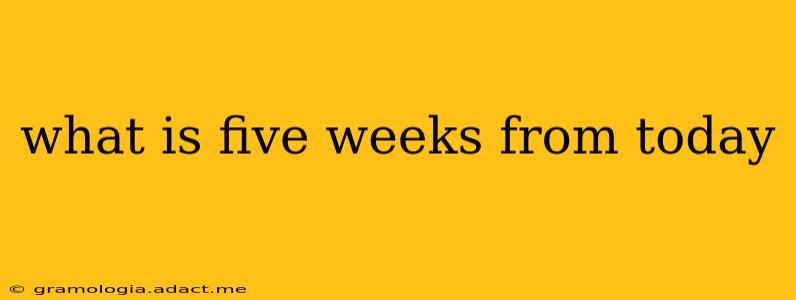 what is five weeks from today