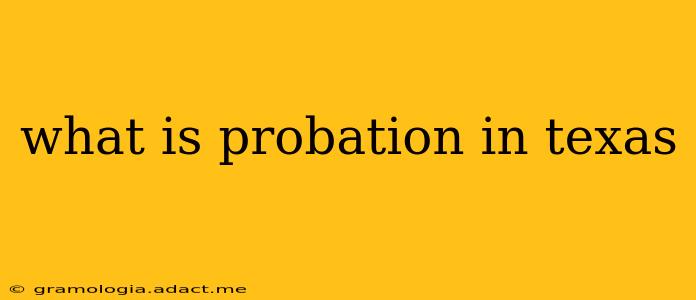 what is probation in texas