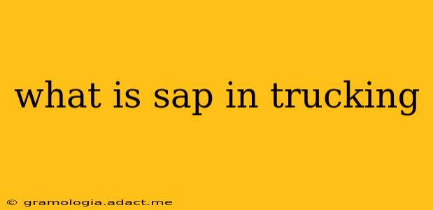 what is sap in trucking