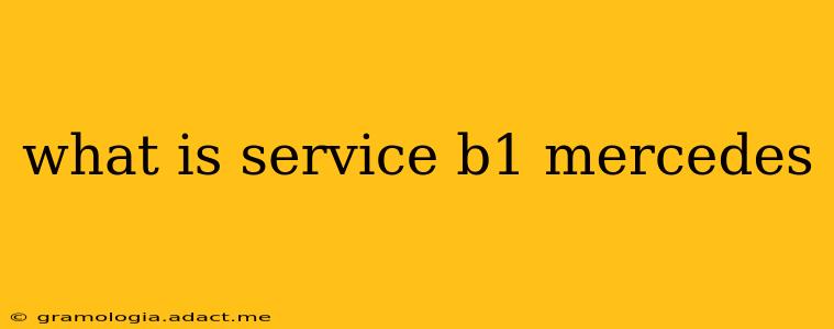 what is service b1 mercedes