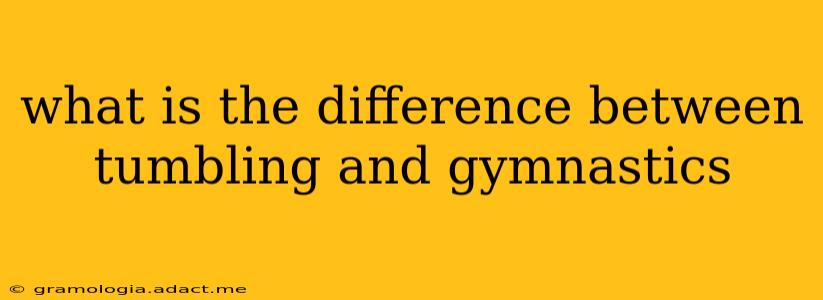 what is the difference between tumbling and gymnastics
