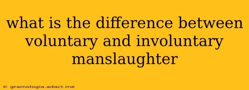 what is the difference between voluntary and involuntary manslaughter