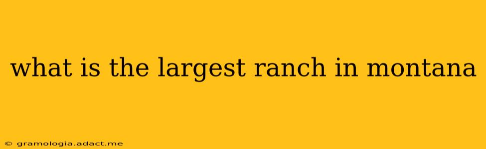 what is the largest ranch in montana