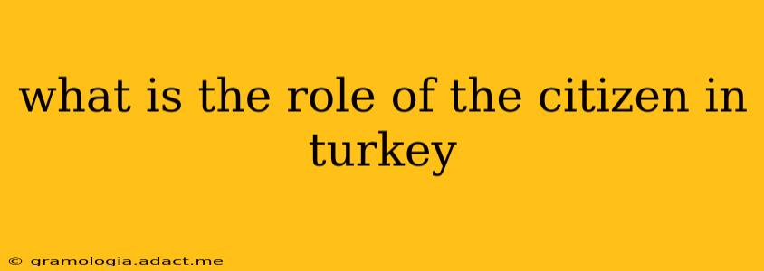 what is the role of the citizen in turkey