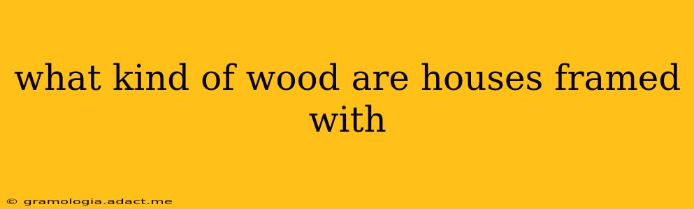 what kind of wood are houses framed with