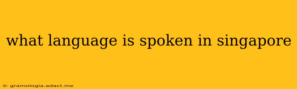what language is spoken in singapore