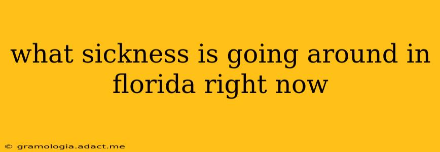 what sickness is going around in florida right now
